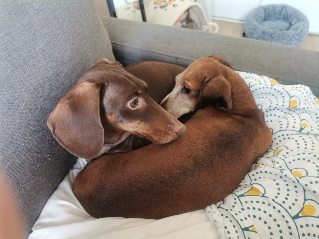 [Image: IMG-20230115-101657.jpg]