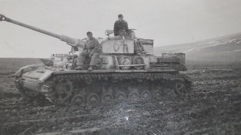 Panzer schwere Panzer Abtl Turmnummer Camo König