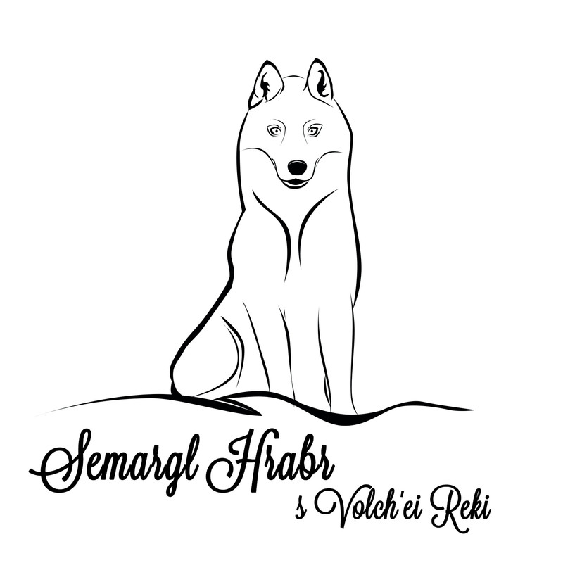 кибыч логотип6