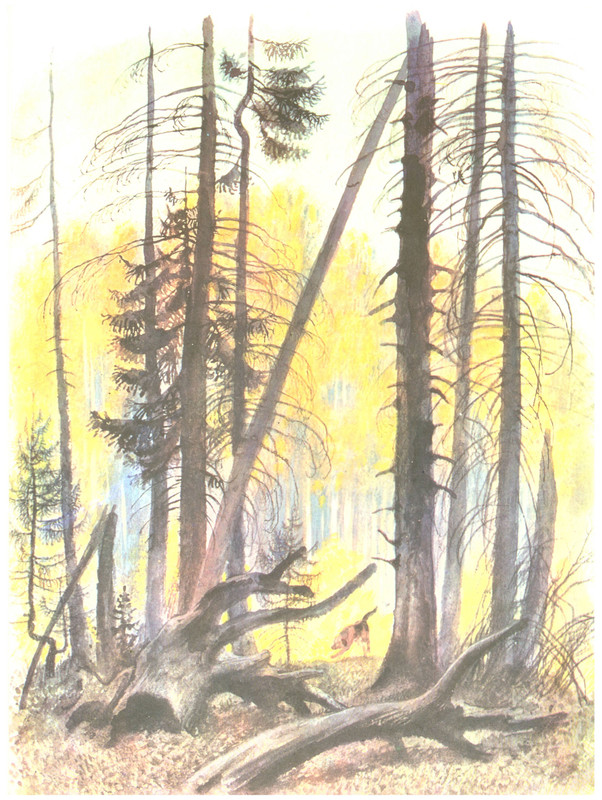 p0030