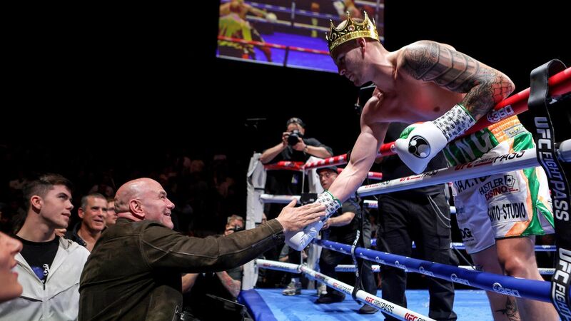 Дейна Уайт влиза в бокса