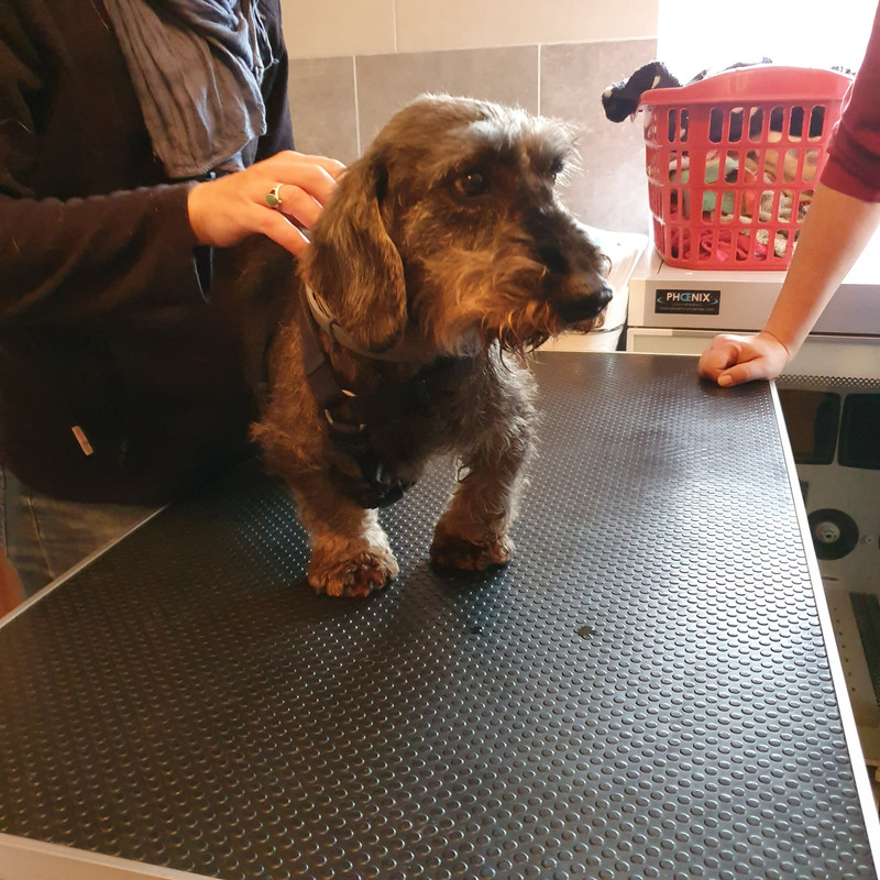 [Image: 20211104-141529.jpg]