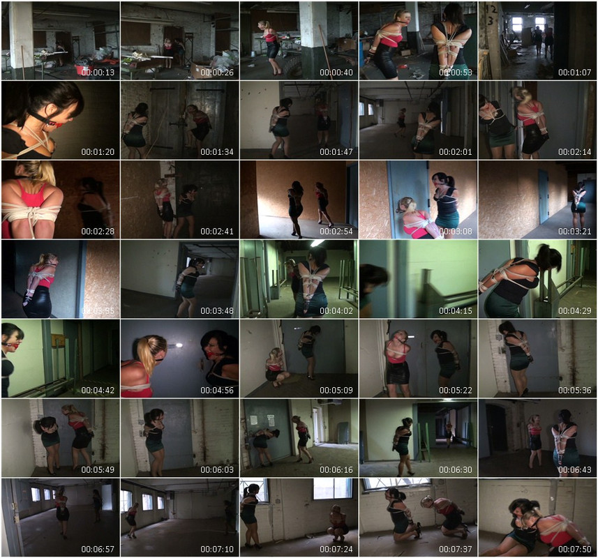 0648BD.wmv