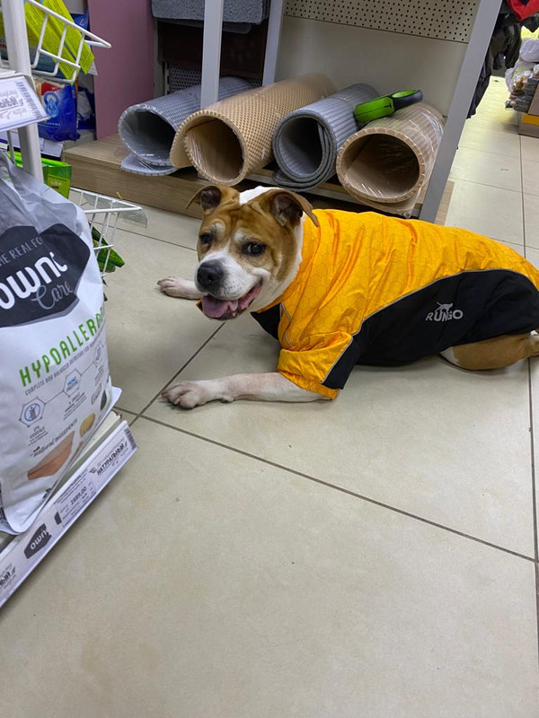 7867ADEE-C019-4303-AF5D-5EBC6161841A