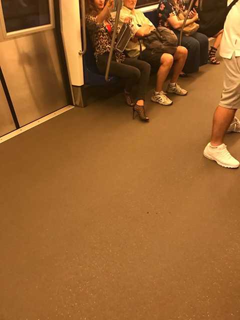 53726554_382035505948888_3055524117596864512_n_382035502615555