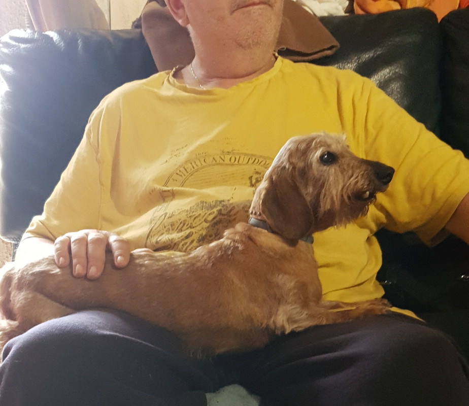 [Image: 20200923-145458.jpg]