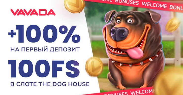Что нужно знать о бонусной системе Vavada Casino