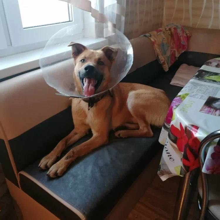 277438140_3180472405560961_5438278440440383229_n