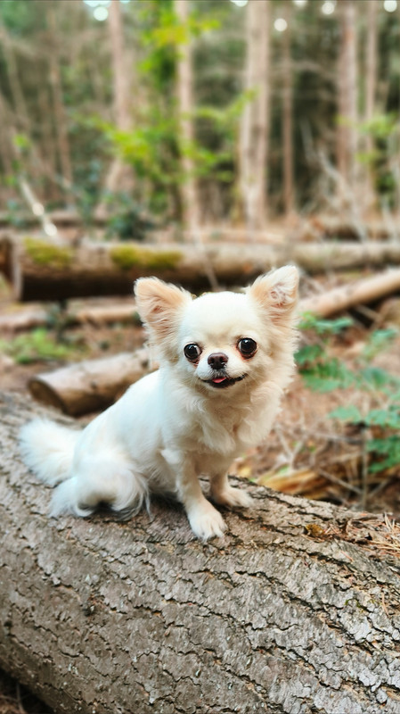 Lumii_20250812_100418009