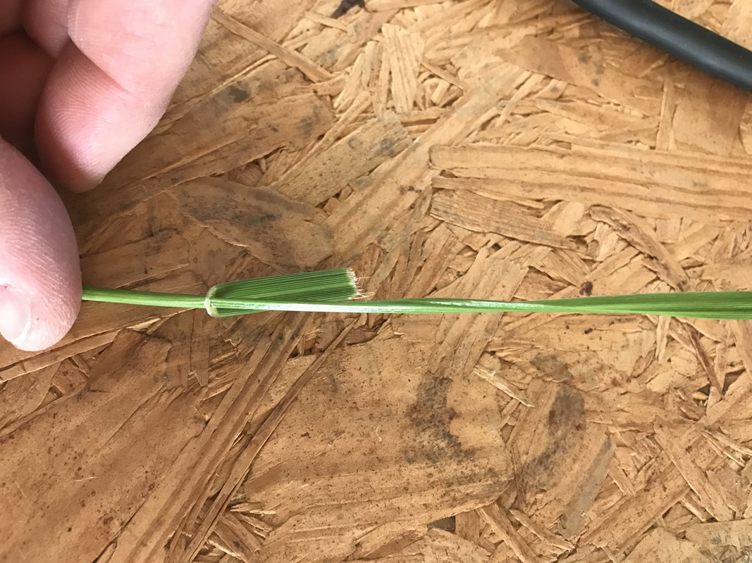 Photo Apr 22, 6 21 47 PM