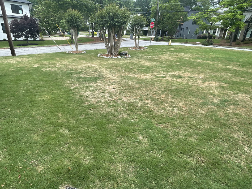 35C53FBD-26E9-44C6-95E0-00E63229055F