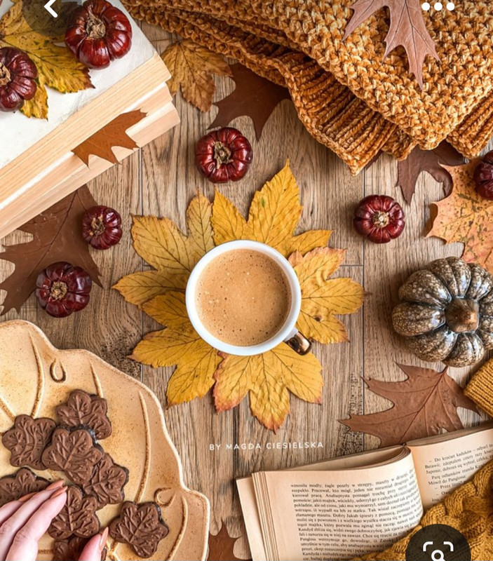 Screenshot_20230731_231129_Pinterest