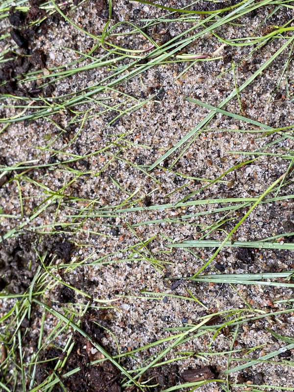 BAD2923E-B3C7-485E-9C37-001573476EAB