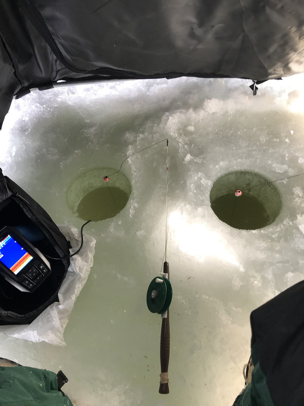 D21AD536-CEA5-48F8-BA00-C61040C20BE3