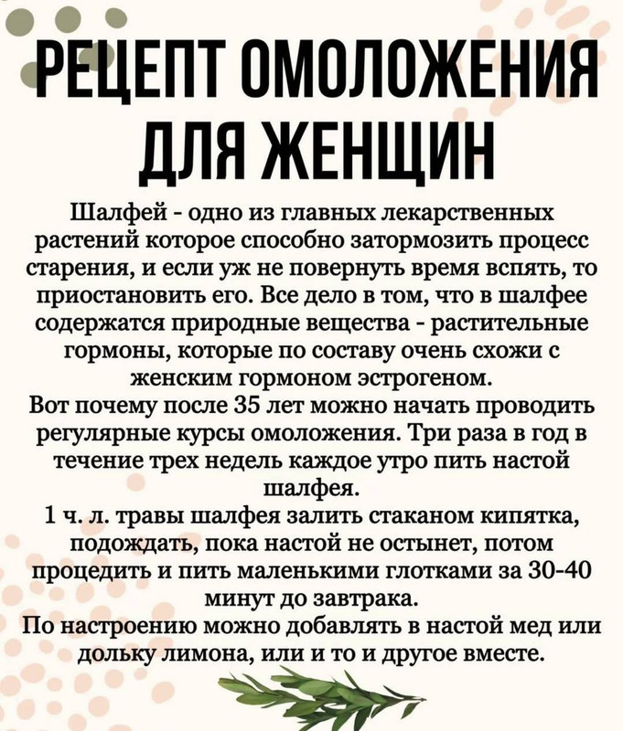 [Изображение: photo-2025-05-10-09-01-16.jpg]