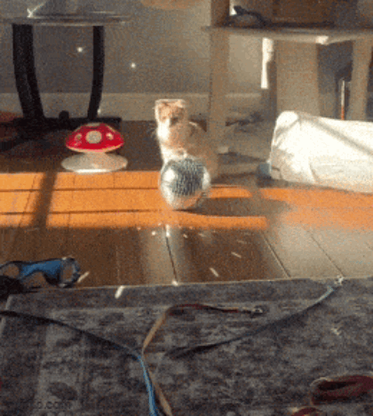 90b.gif