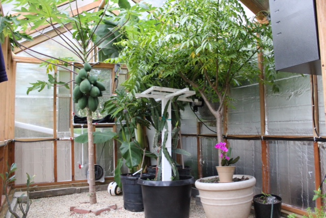 photo 2(11)