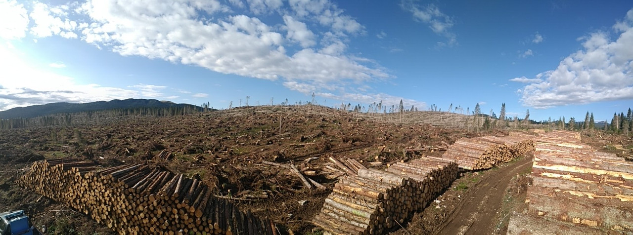 PANO_20190814_085516