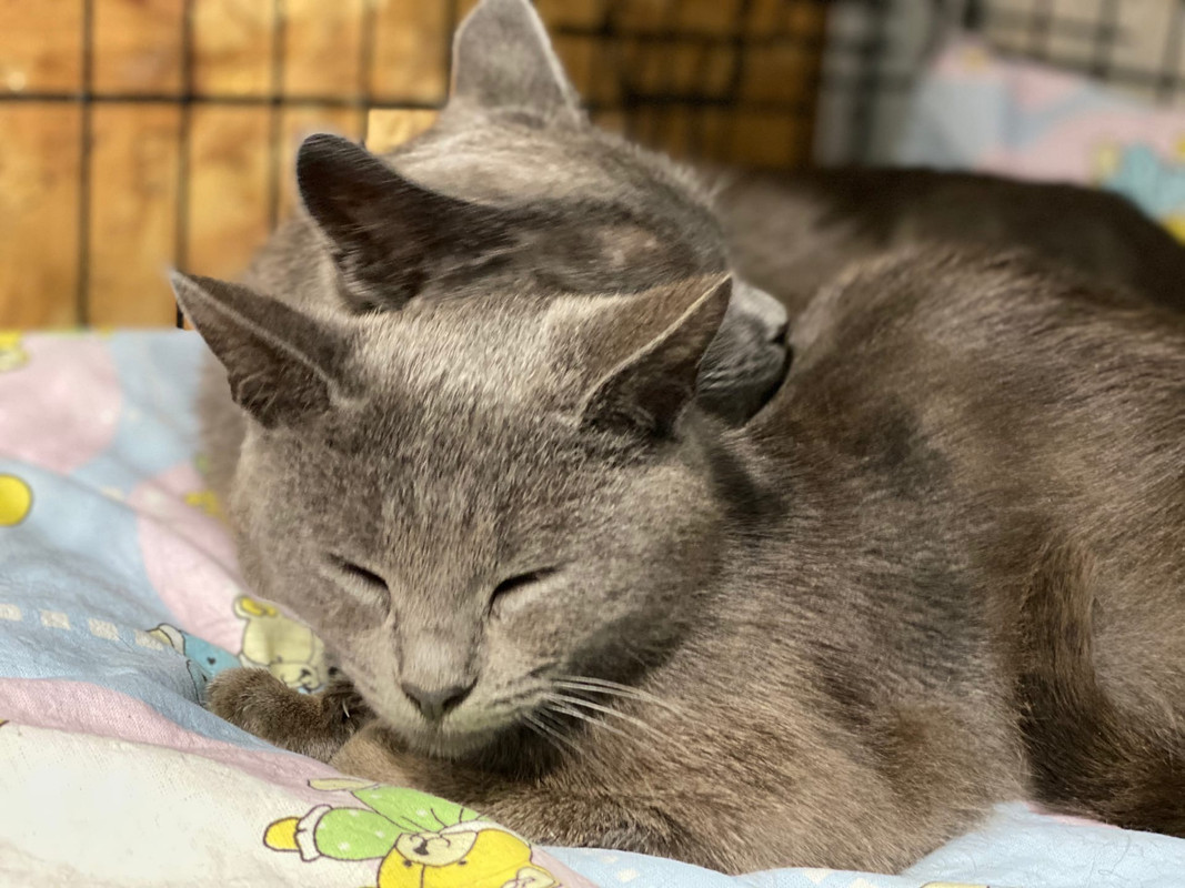 0491CD2F-B109-4829-BF0E-89C2F430823A