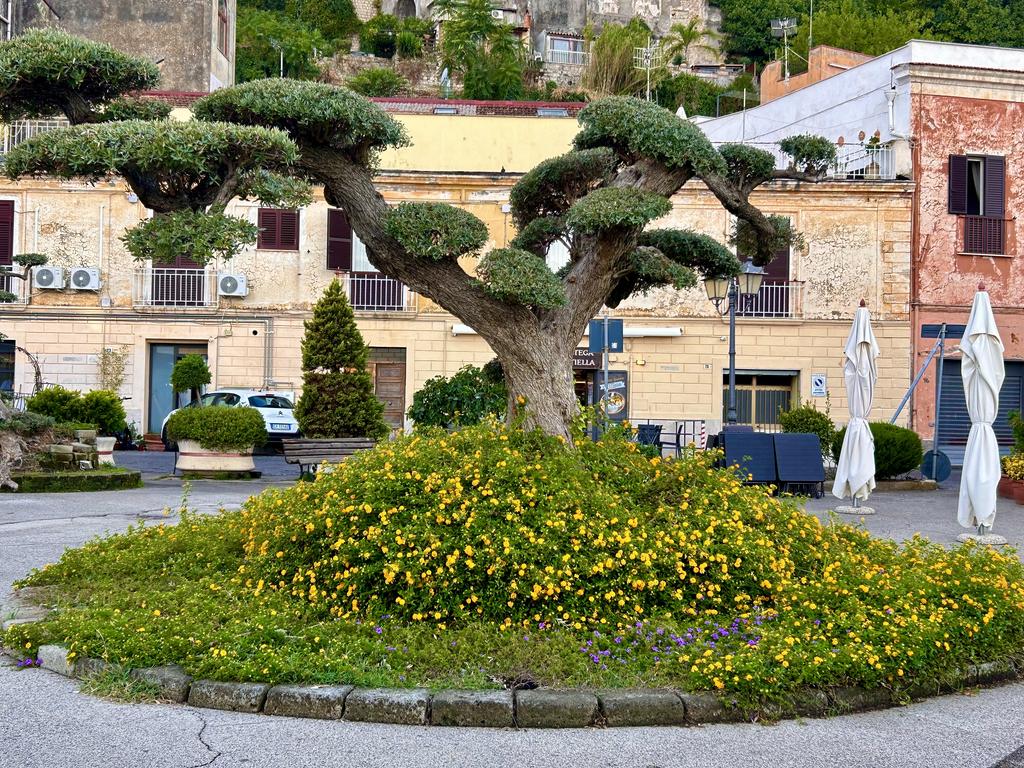 Жаркий сентябрь на побережье Тирренского моря. Жаркий сентябрь на побережье Тирренского моря.
