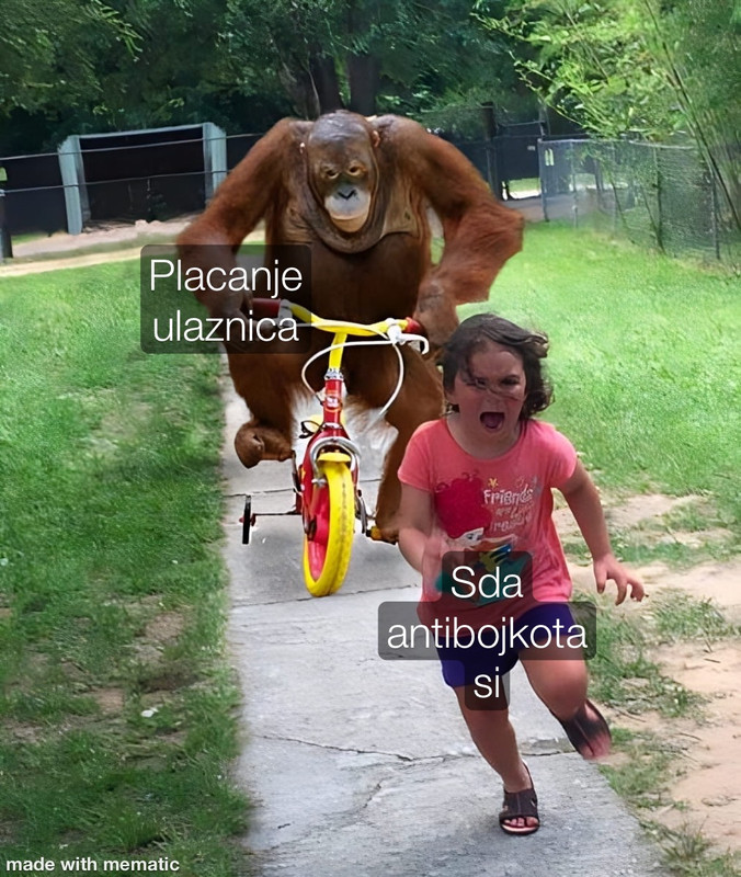 slika