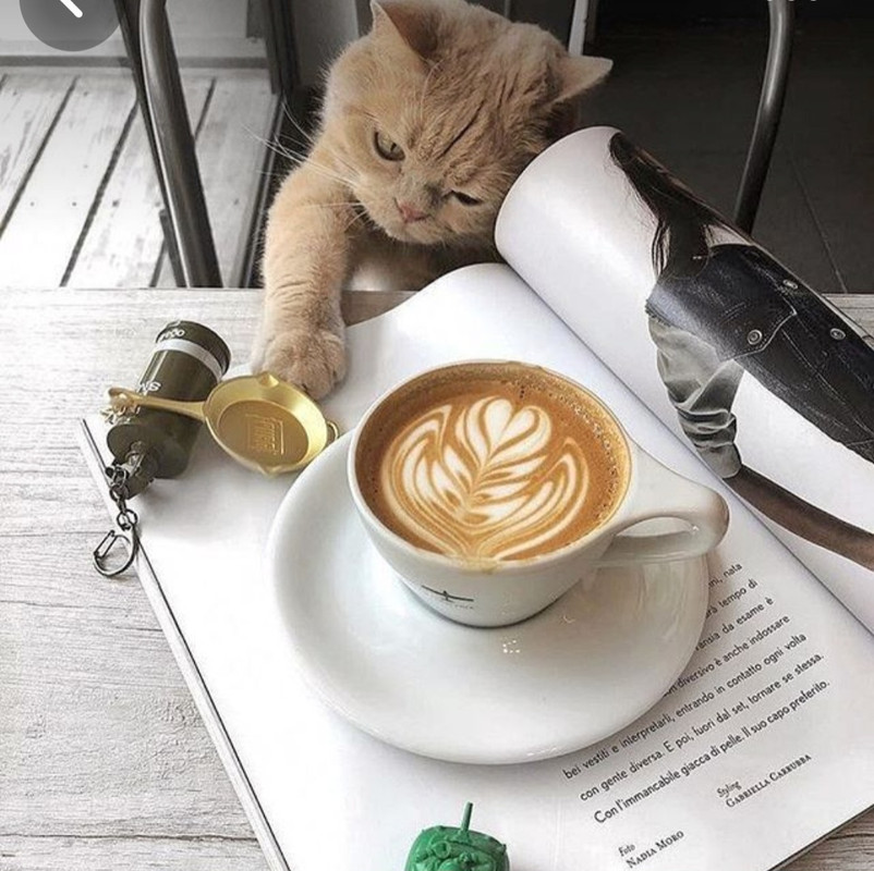 Screenshot_20240706_221711_Pinterest