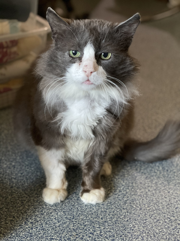 89960525-42A7-4849-8F7D-F710DD5D05A5