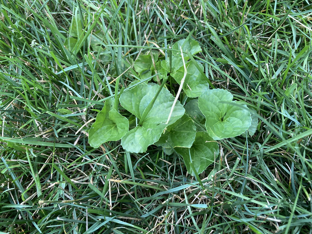 9C281A85-EFB2-4789-9561-97F578431DCF