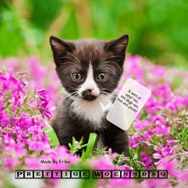 0EC59151-202C-4A4A-B556-4C4A2CE64656