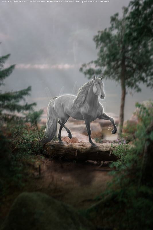 5329BF94-17E6-42A2-8341-73AAAF90616D