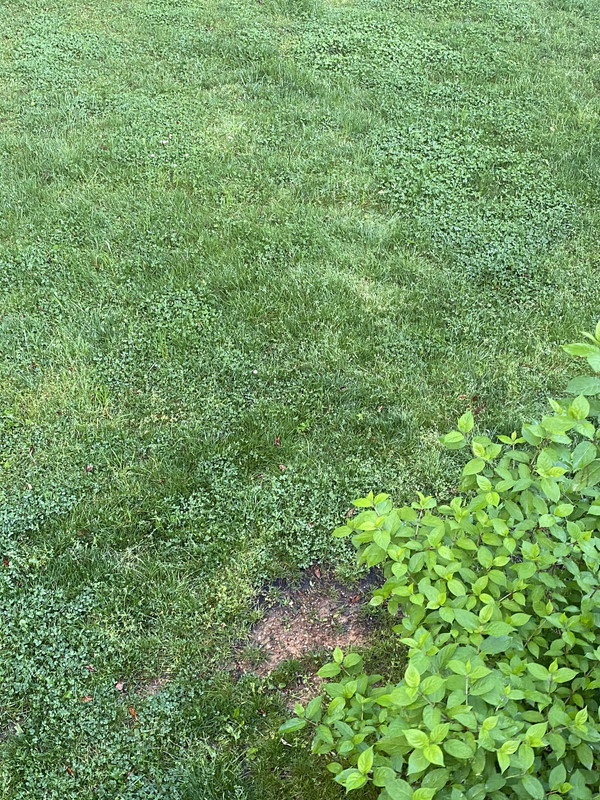 E1B6DBFE-F2D0-4BFD-ABB0-CAEB37BB2030