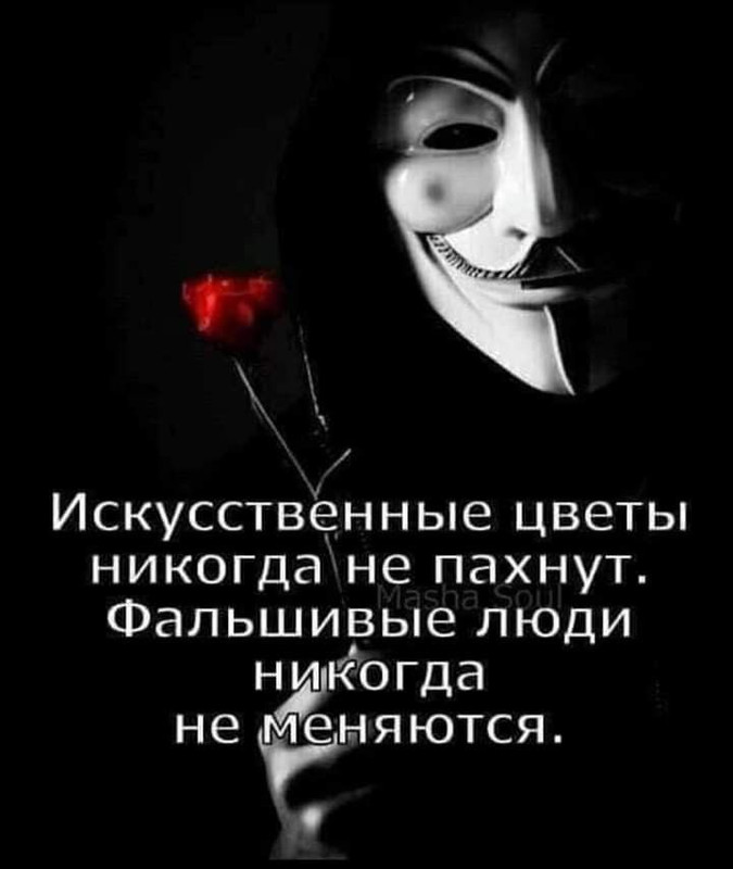 4 noabra 2025 Svatose mestnomu ubludocnomu kinul podpiscikov i citiruet