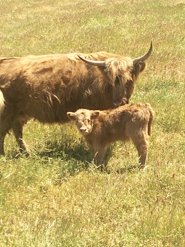 64F86313-B233-4DB9-BCFD-51CB6E13E08B