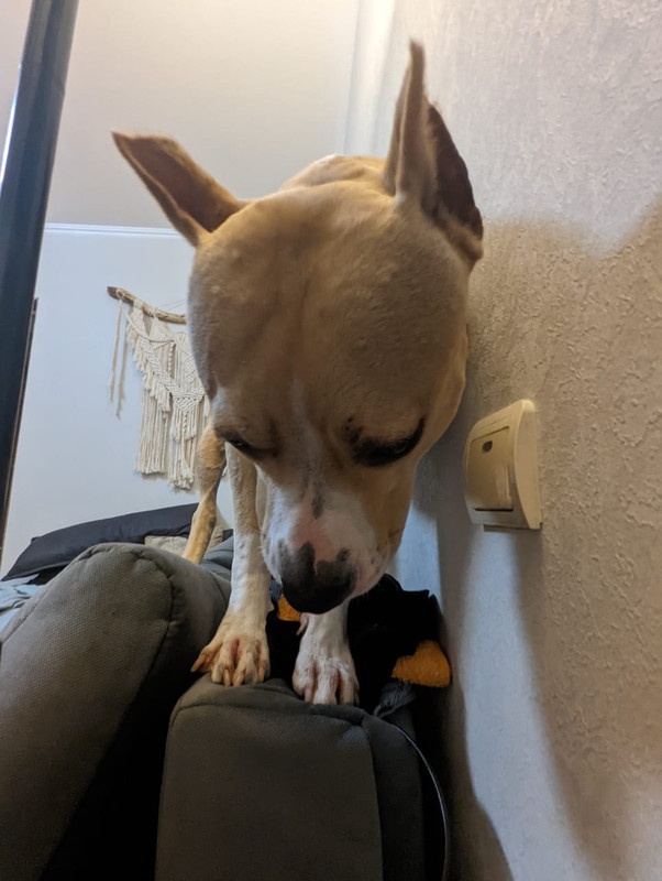 C87AAA2B-E411-46CB-87AB-8A5CF898153C