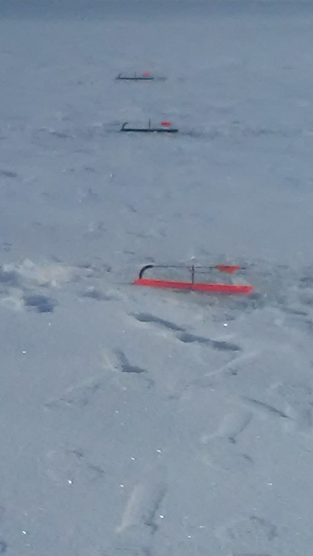 20190217_091723