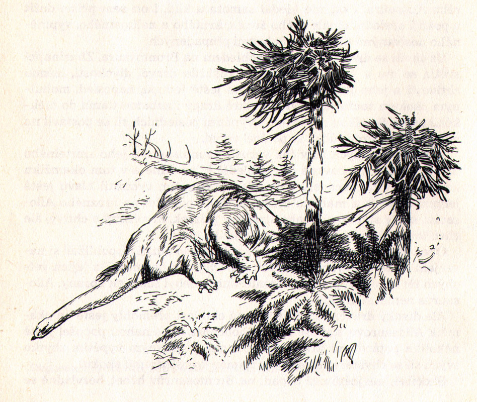 dead_brontosaurus_by_zdenek_burian