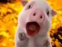 evil-pig-animal-farm.webp