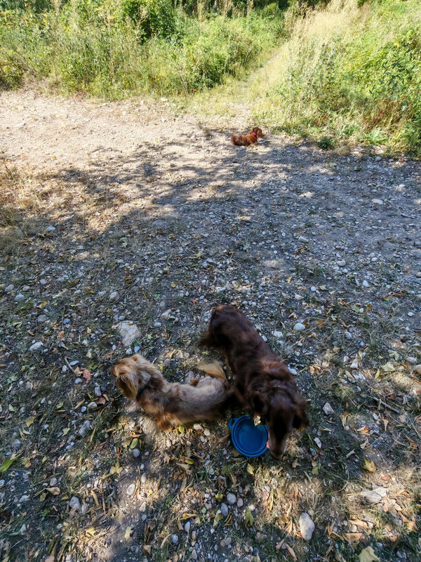 [Image: IMG-20250818-113310.jpg]