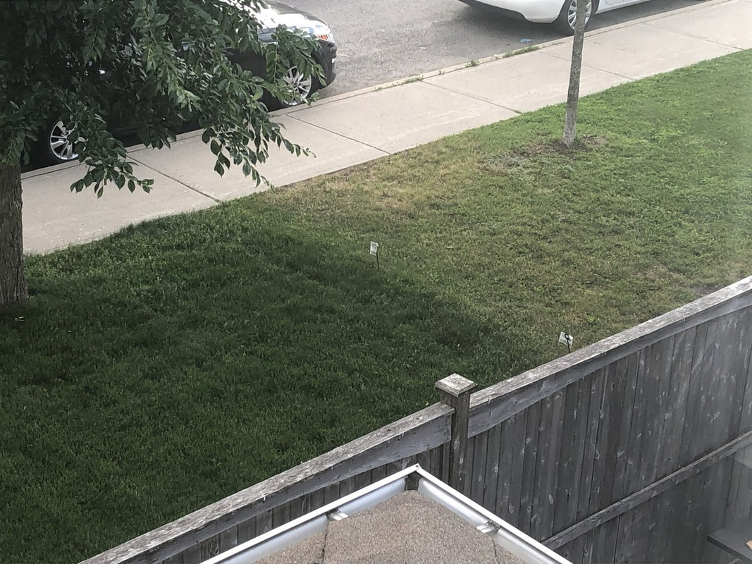 38097E66-11F9-4EBB-8880-0D839893609F