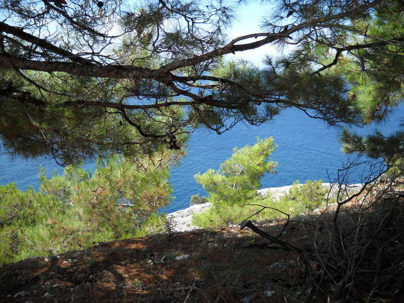 Slika