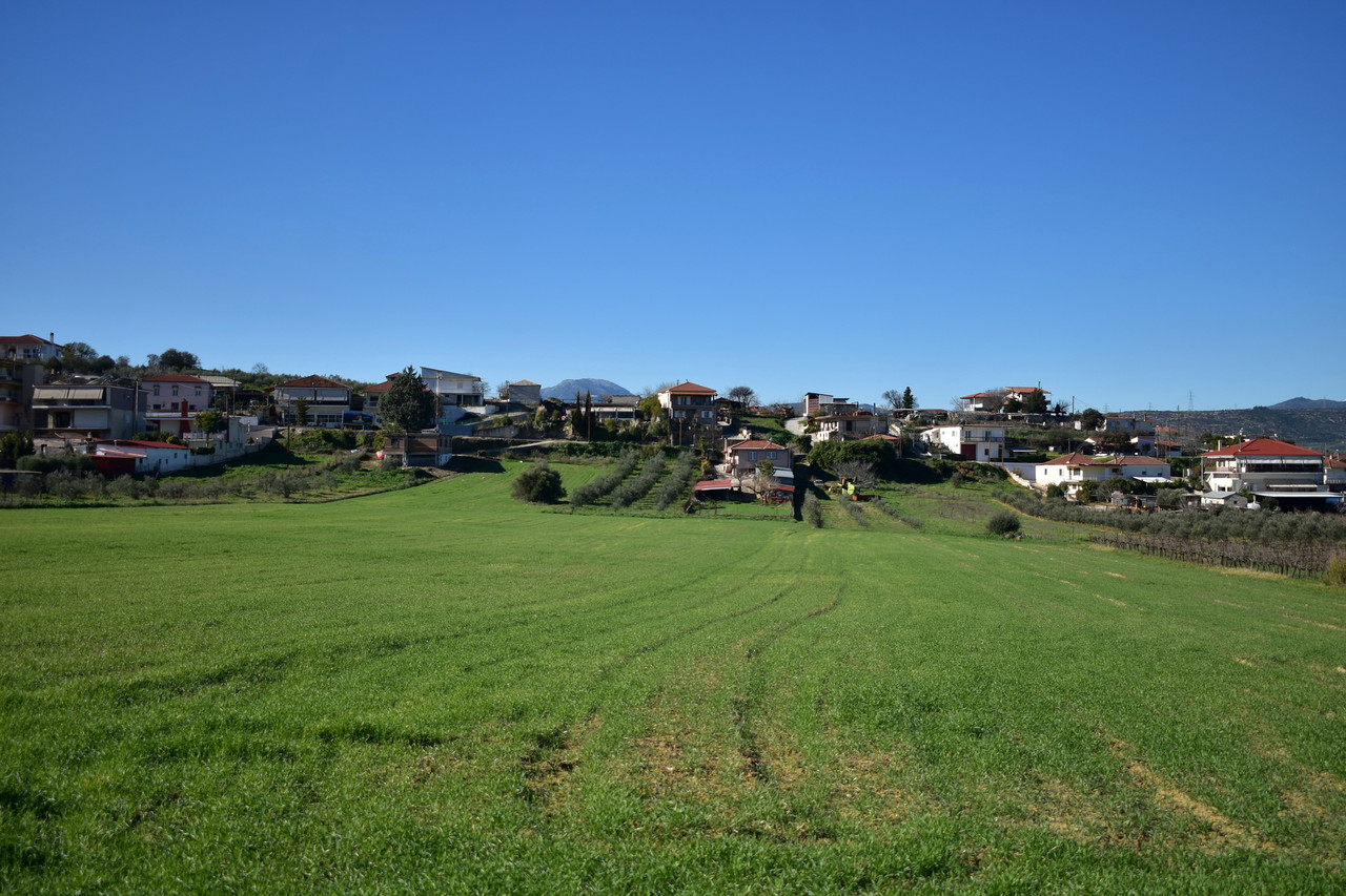 Άγιος Βασίλειος (2)