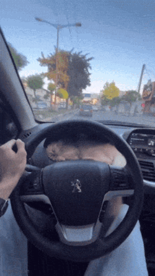 94.gif