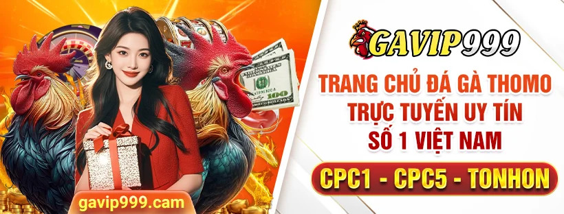 gavip999-banner.jpg