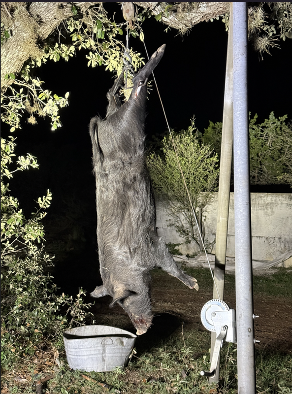 Screen Shot 2024-12-07 at 12.08.40 PM