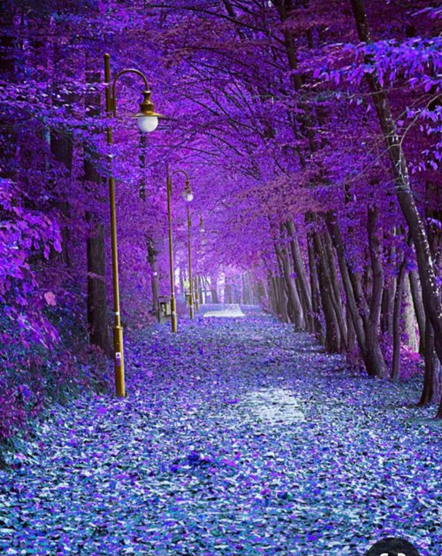 Screenshot_20240202_202928_Pinterest