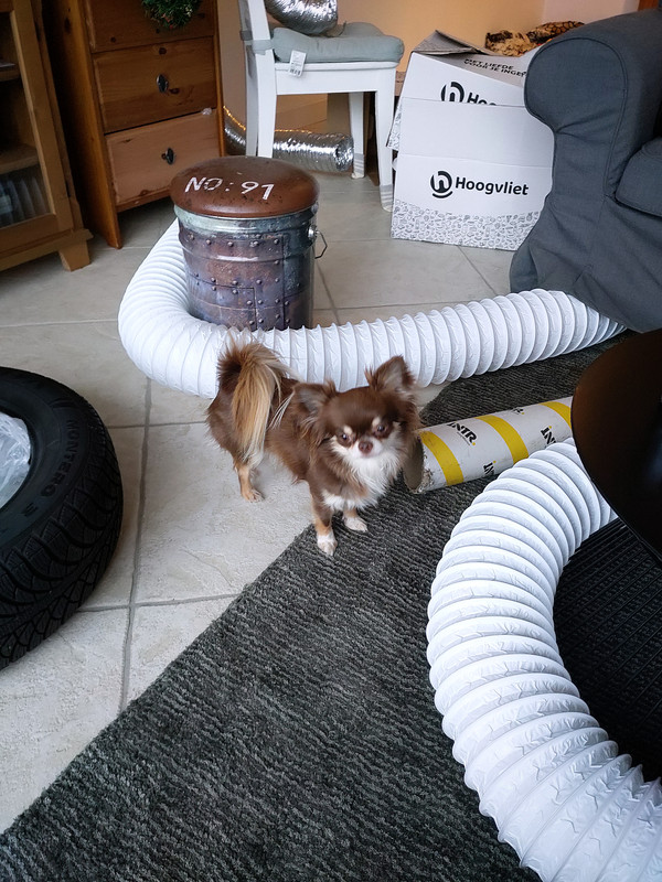 Lumii_20201215_121748877