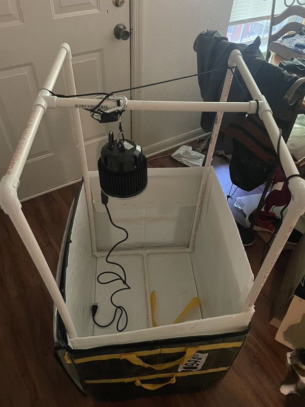 017C3F92-6F64-498E-B923-F43A874AF7E2