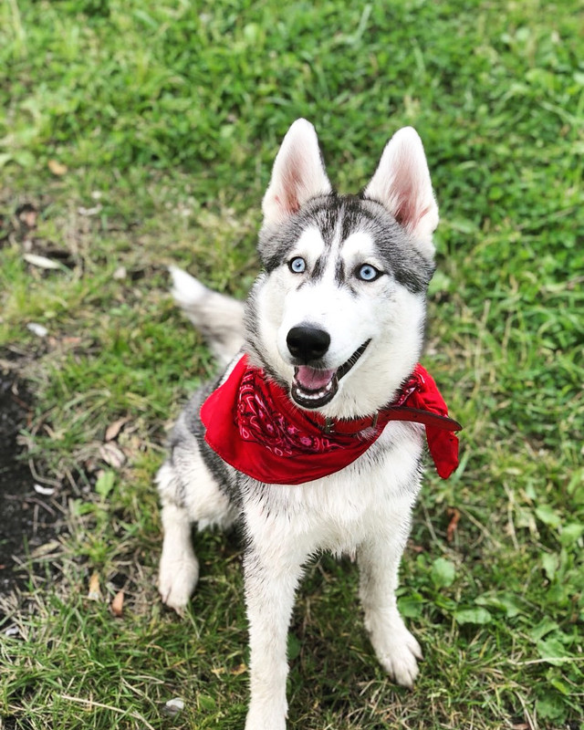 74D6722E-BB64-4E11-90D0-77898D1048F8