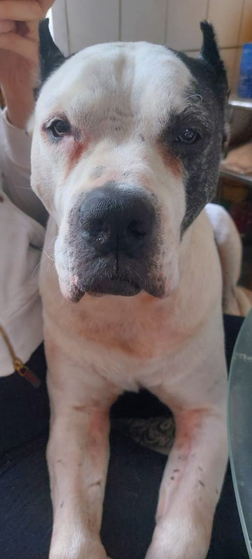 88478E8C-0394-4E4D-943B-4A0056DF4844