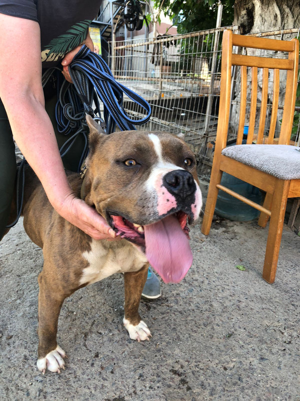 E6174C06-10CB-4582-B5C9-13C46737DA47